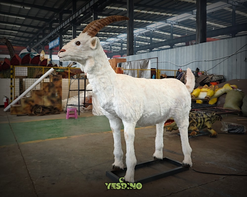 Animatronic Goat Model is Used For Anima