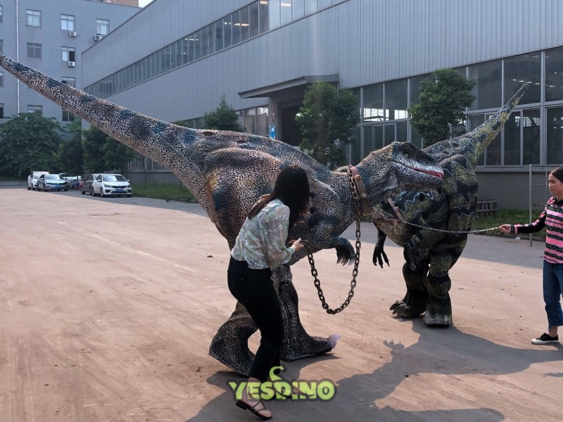 img2696.jpg img2696.jpg