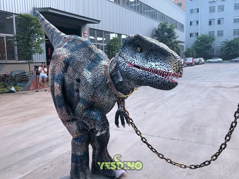 img2662.jpg img2662.jpg