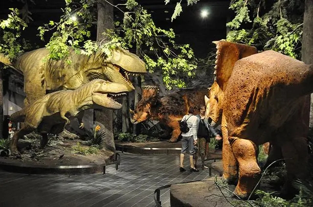 Dinosaur Exhibition in Shopping Centers