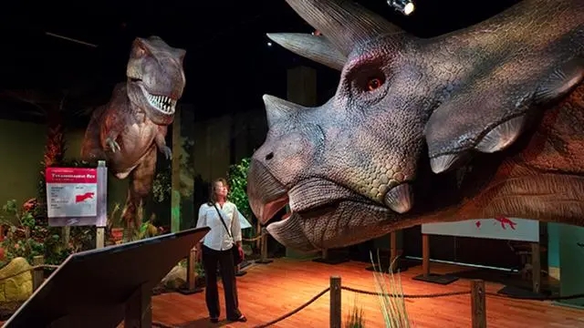 Dinosaur Exhibition in Shopping Centers