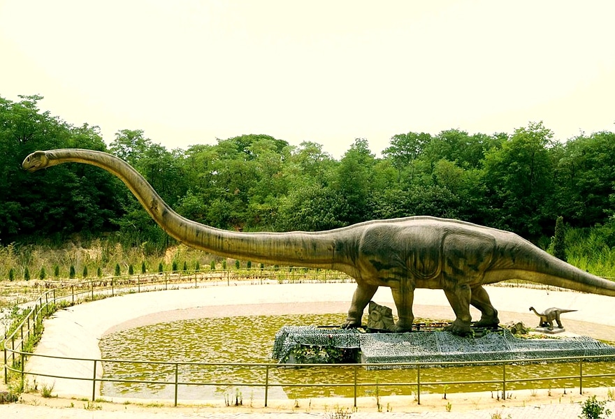 B8A7A.jpeg B8A7A.jpeg