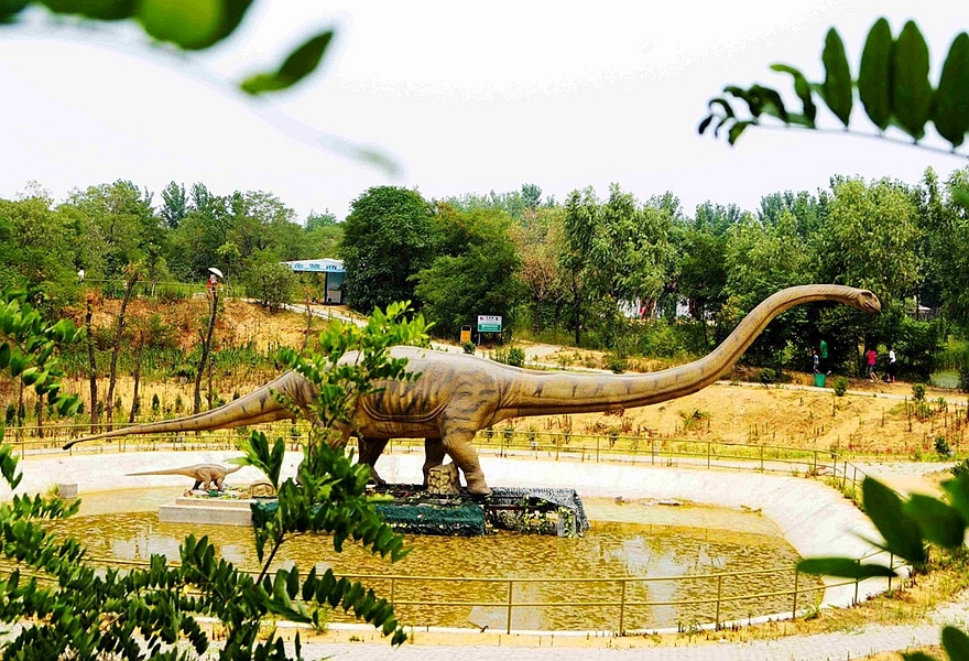 huge size dinosaur.jpeg