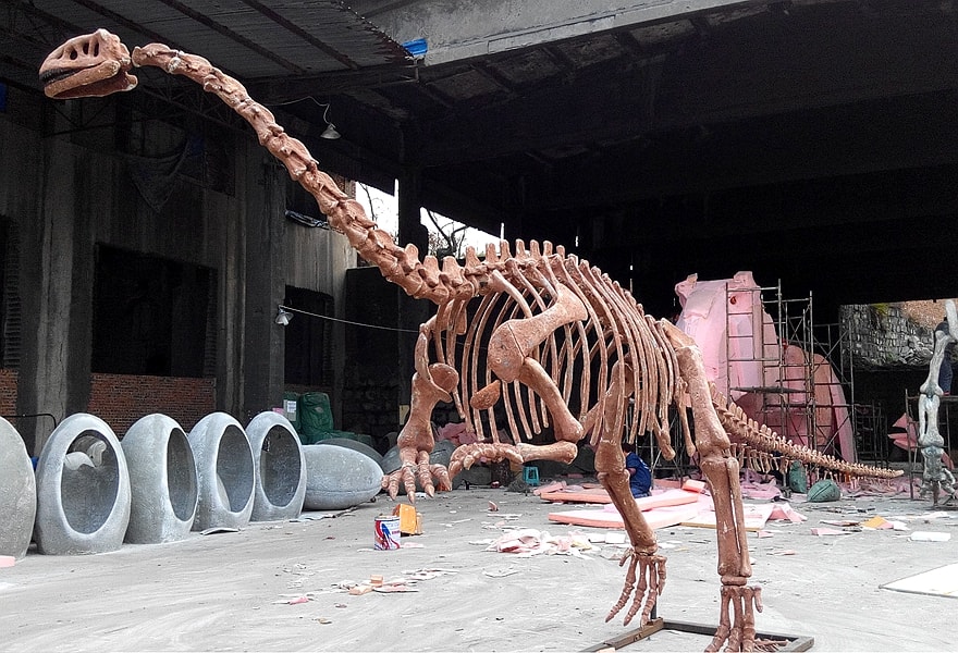 dinosaur fossil.jpeg dinosaur fossil.jpeg