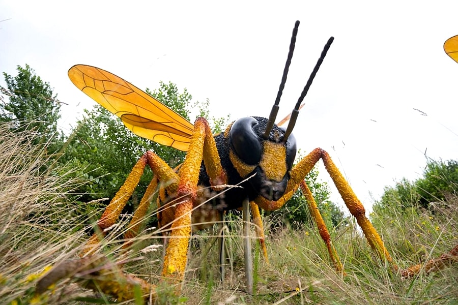 Procurement of High-Quality Animatronic Insects.jpeg