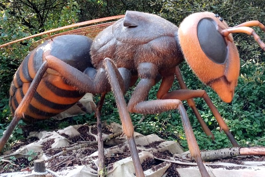 Interactive Experience Design.jpeg