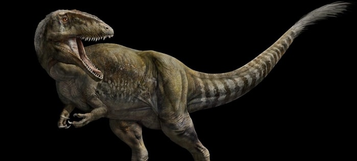 Carcharodontosaurus.jpg