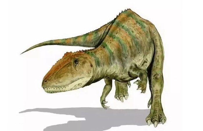 Giganotosaurus.jpg