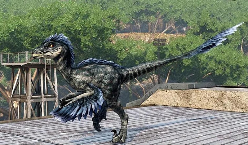 Dinosaur Exhibition in Shopping Centers