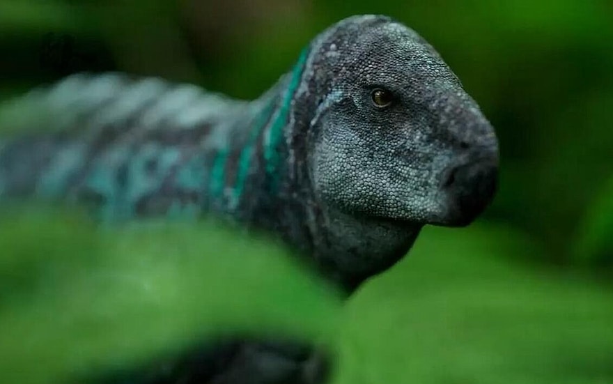 Zalmoxes dinosaur.jpg