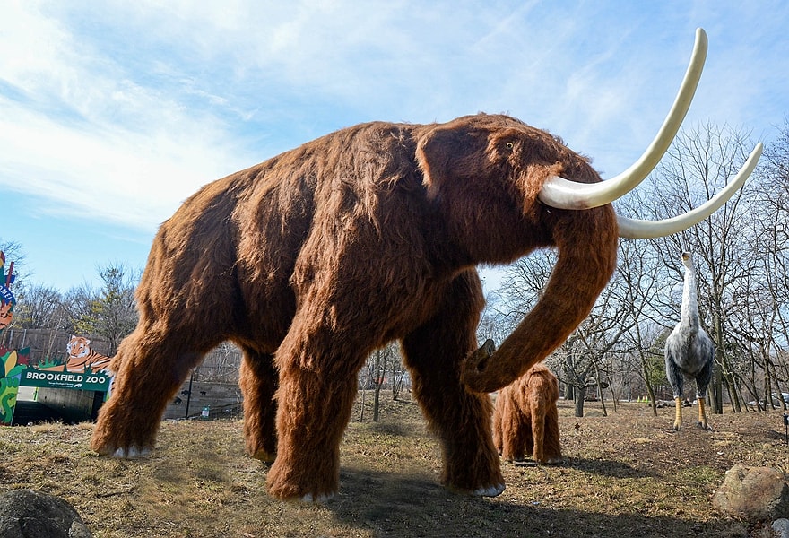 Dinosaur Exhibition in Shopping Centers