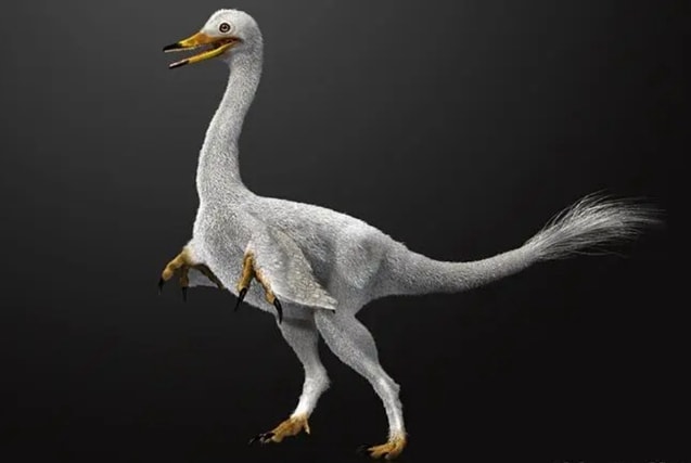 Halszkaraptor.jpg