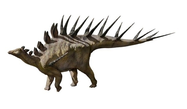 Kentrosaurus.jpg
