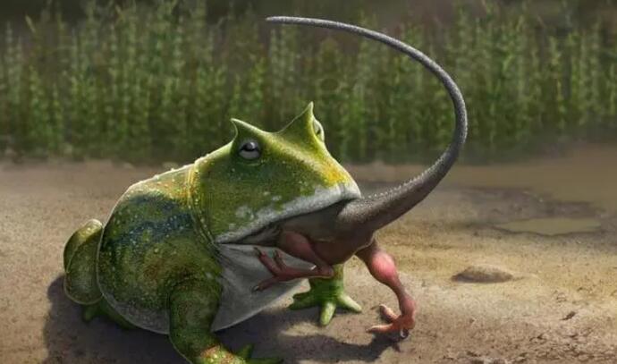 A Frog and Two Crocodiles.jpg