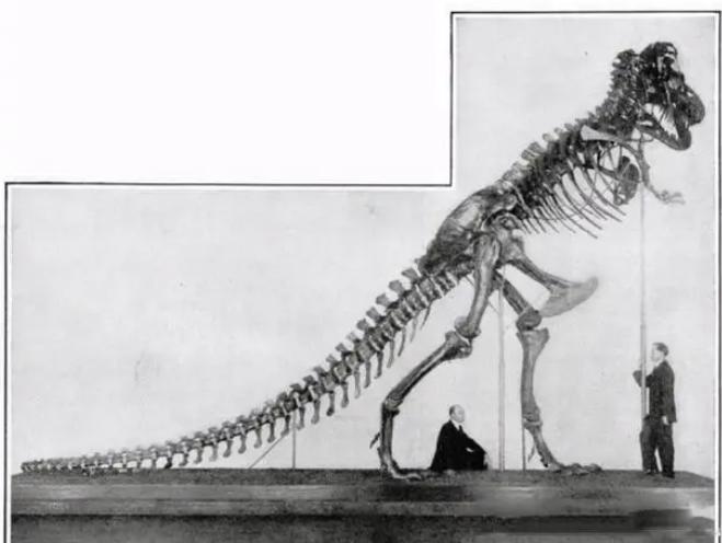 Why is Reconstructing Dinosaurs So Difficult.jpg