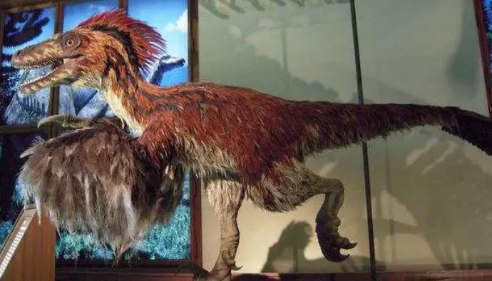 Dinosaur Exhibition in Shopping Centers