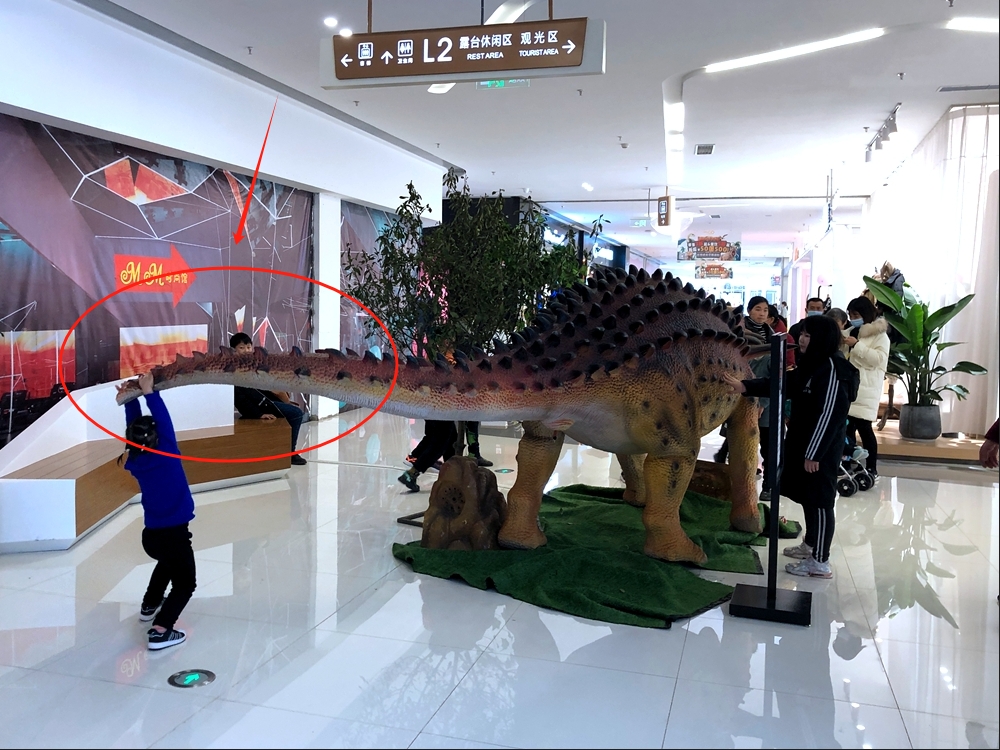 Forcing the Dino's Tail