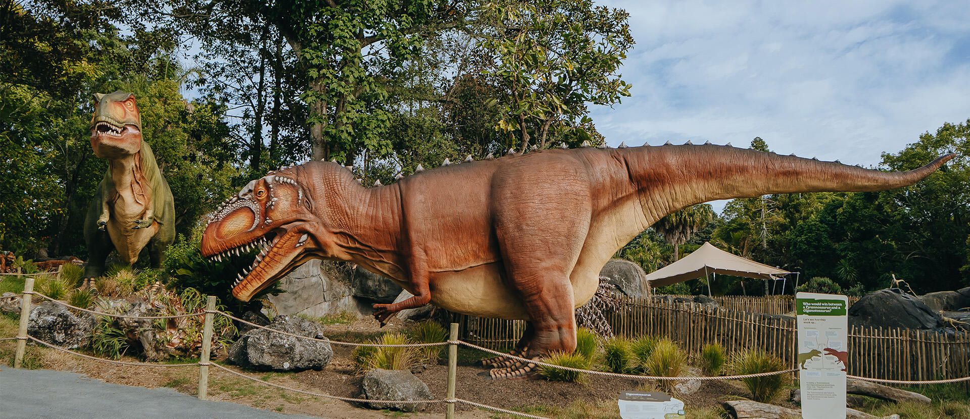 Dinosaur Exhibition in Shopping Centers