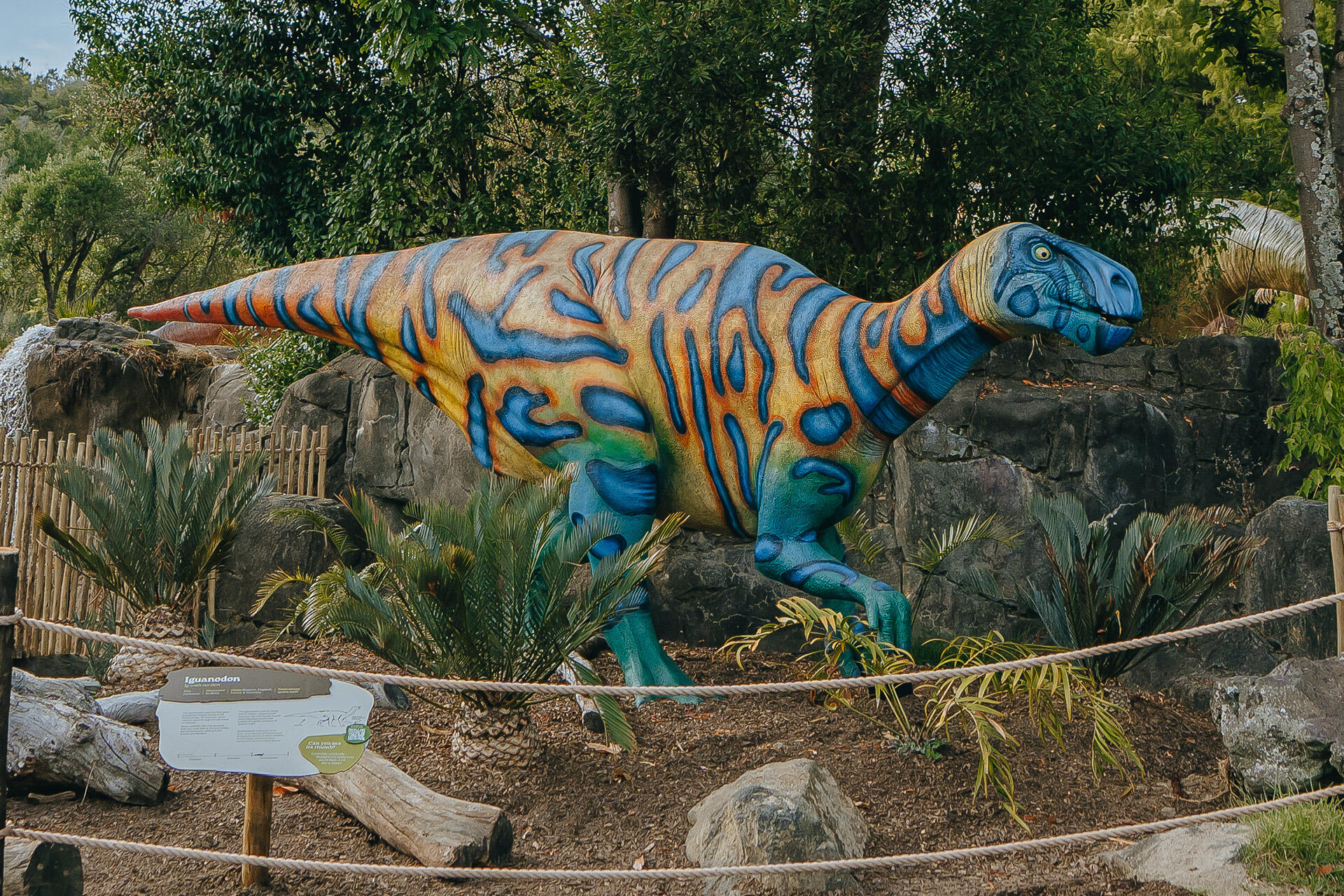 Dinosaur Exhibition in Shopping Centers