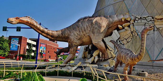 Dinosaur Exhibition in Shopping Centers