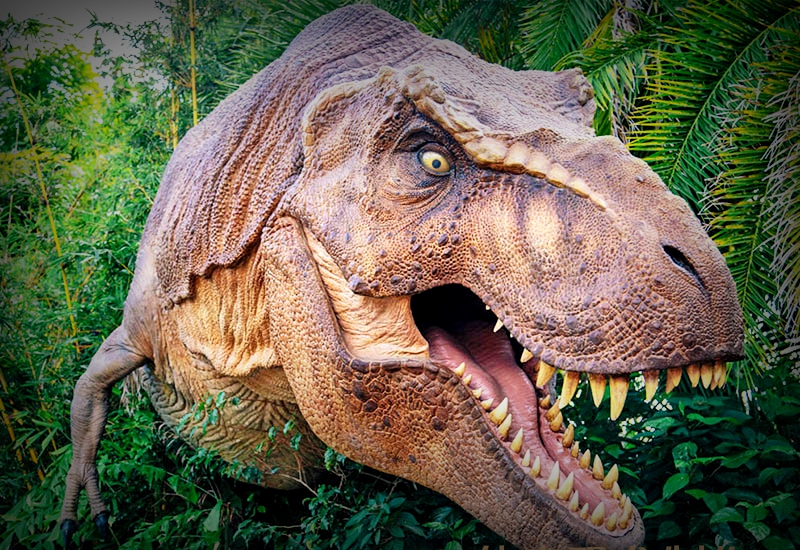 Dinosaur Exhibition in Shopping Centers