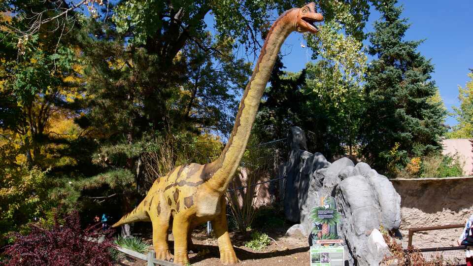 Dinosaur Exhibition in Shopping Centers