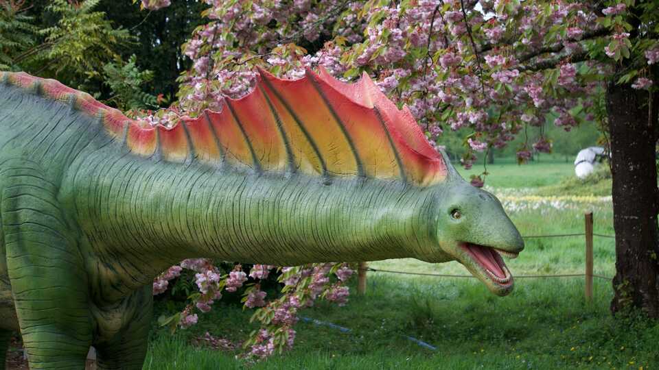 Dinosaur Exhibition in Shopping Centers