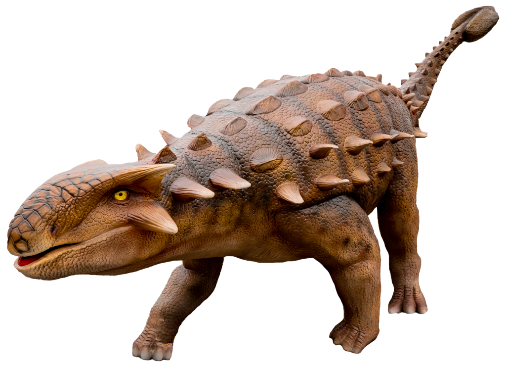 Dinosaur Exhibition in Shopping Centers