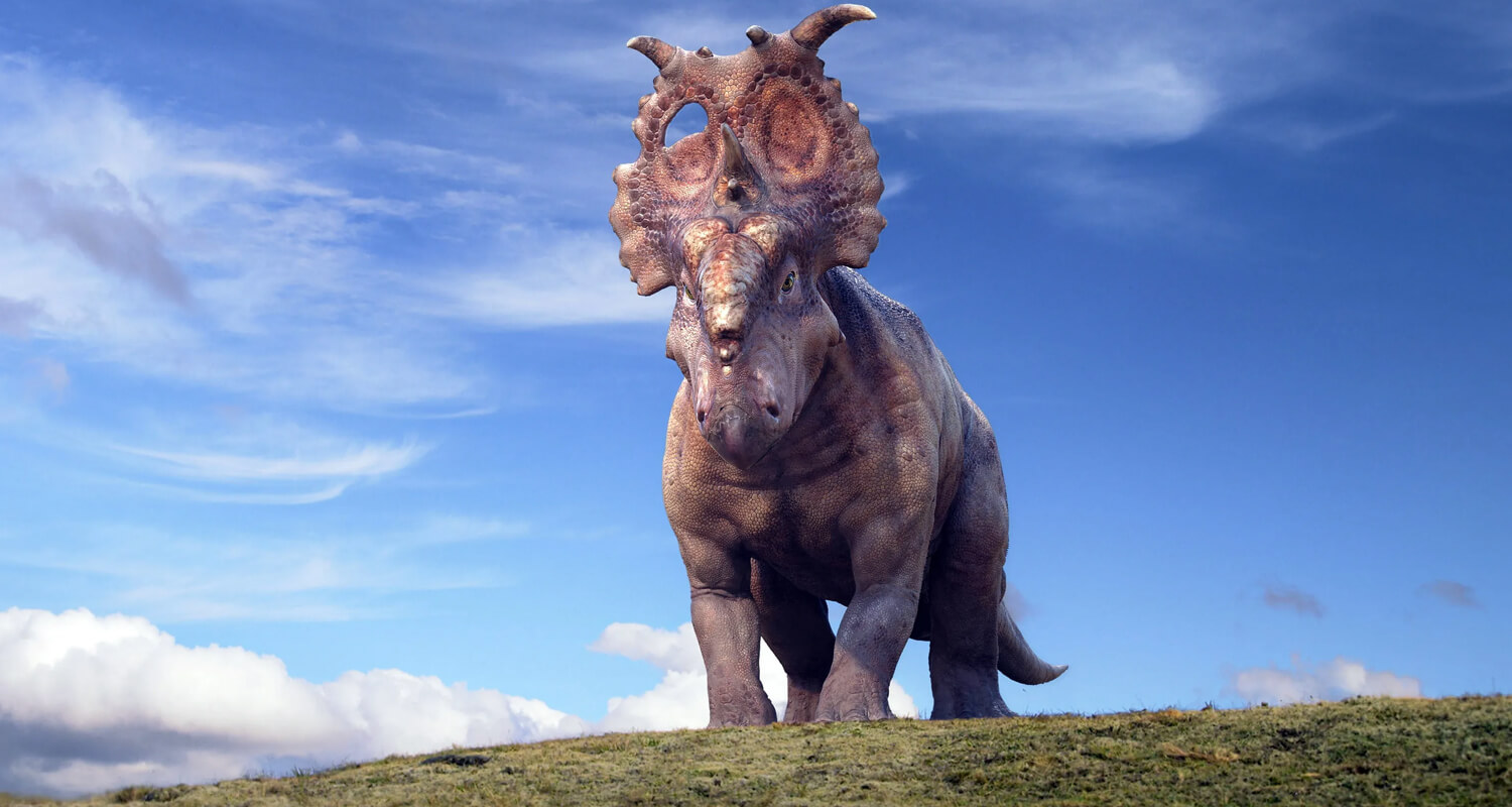 Dinosaur Exhibition in Shopping Centers