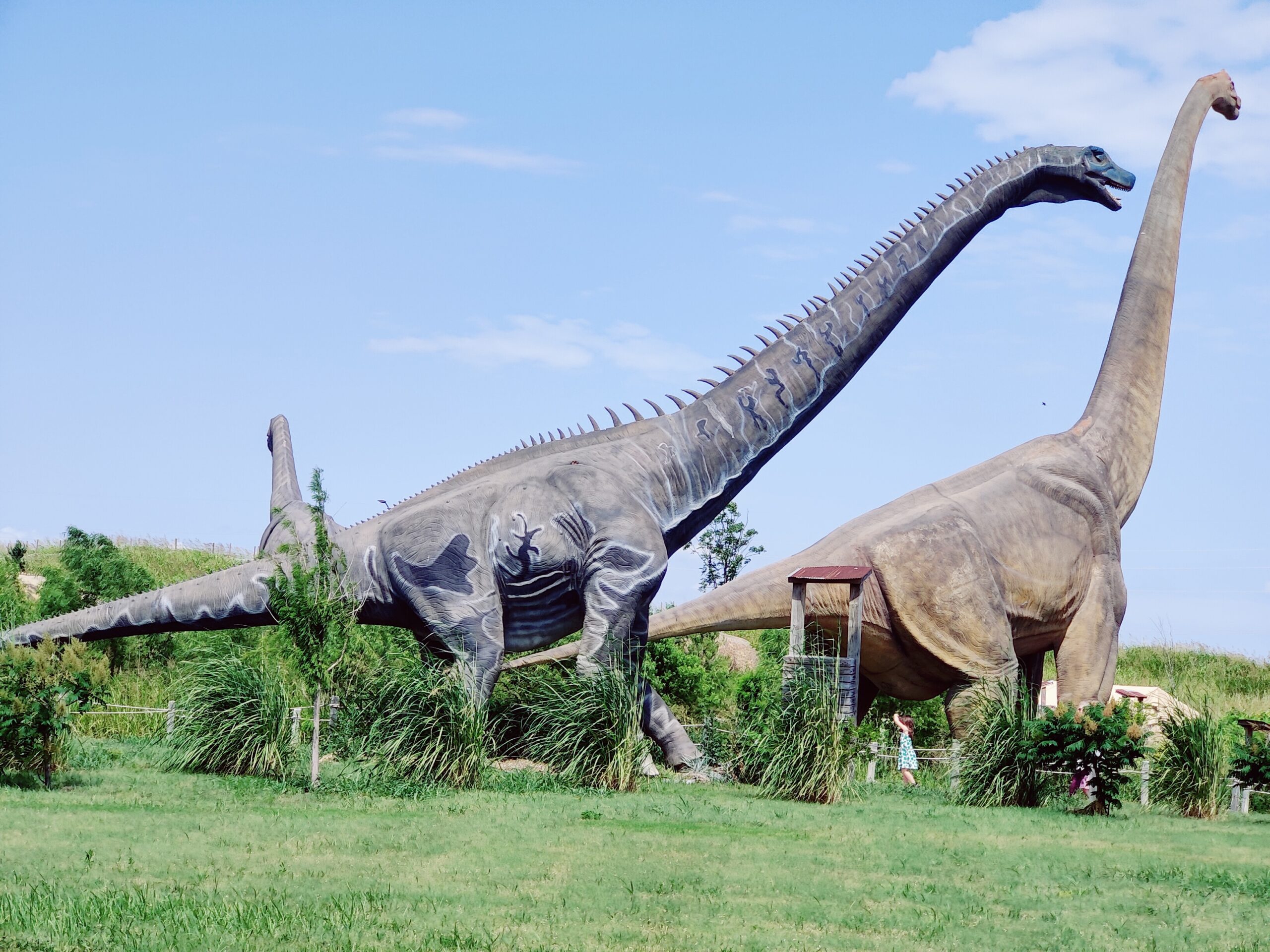 Dinosaur Exhibition in Shopping Centers