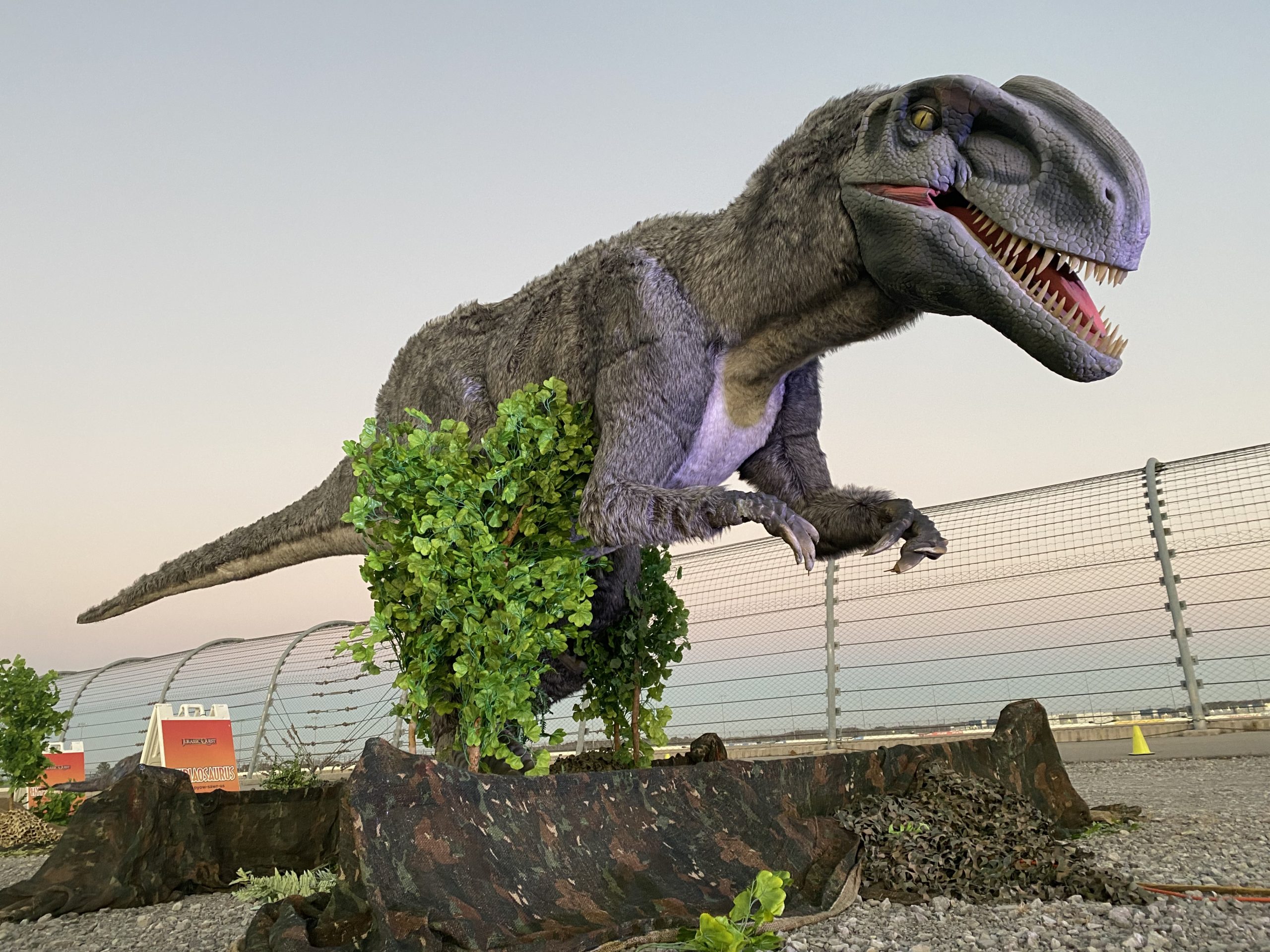 Dinosaur Exhibition in Shopping Centers