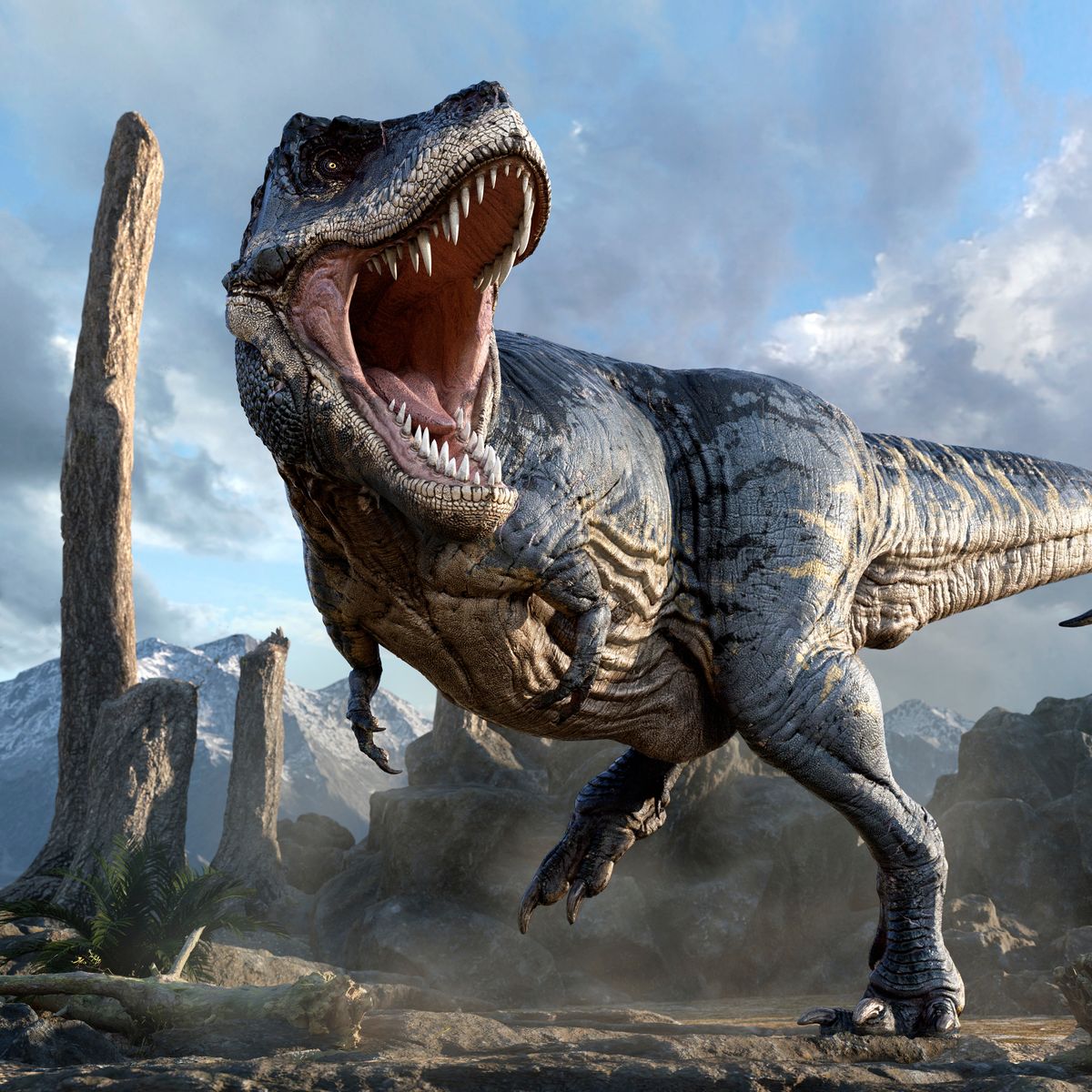 Dinosaur Exhibition in Shopping Centers