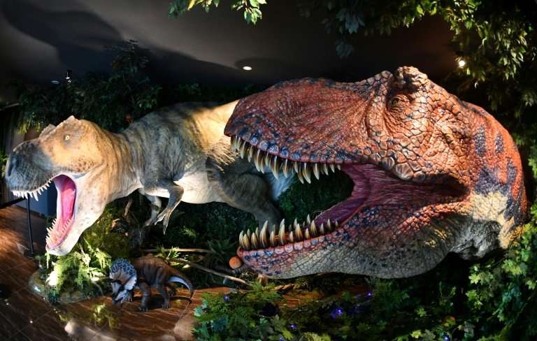Dinosaur Exhibition in Shopping Centers