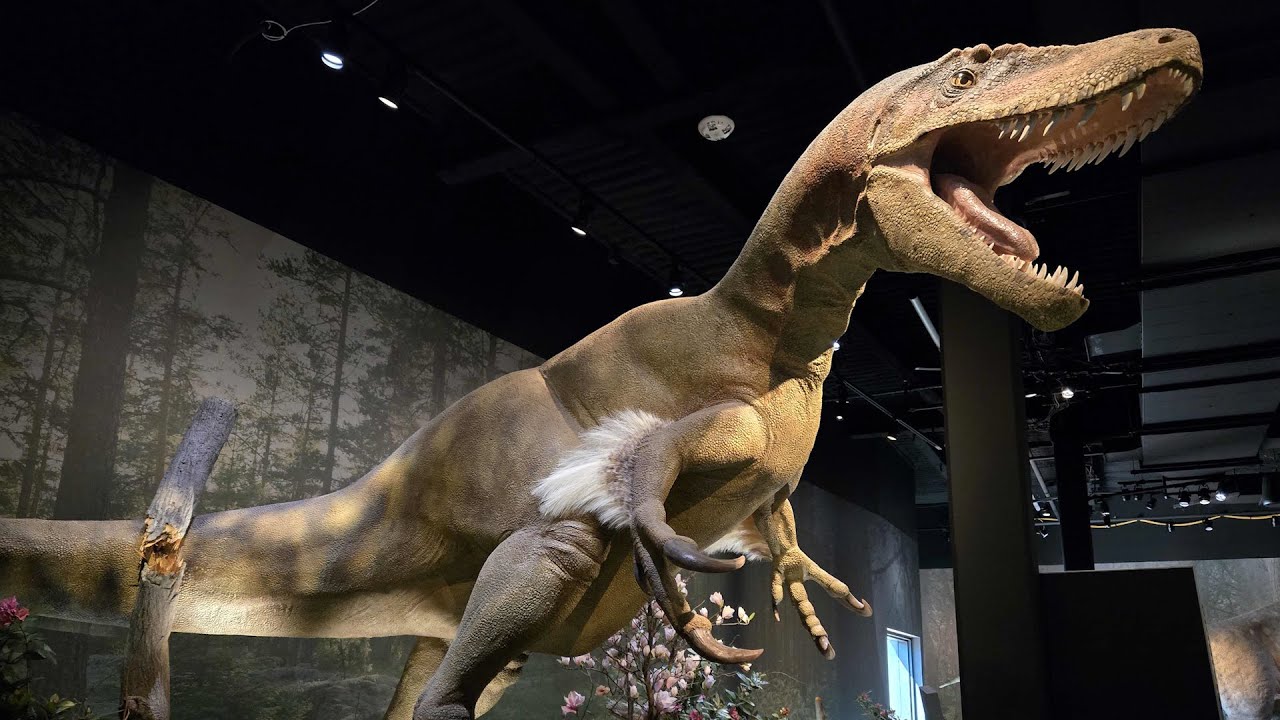 Dinosaur Exhibition in Shopping Centers