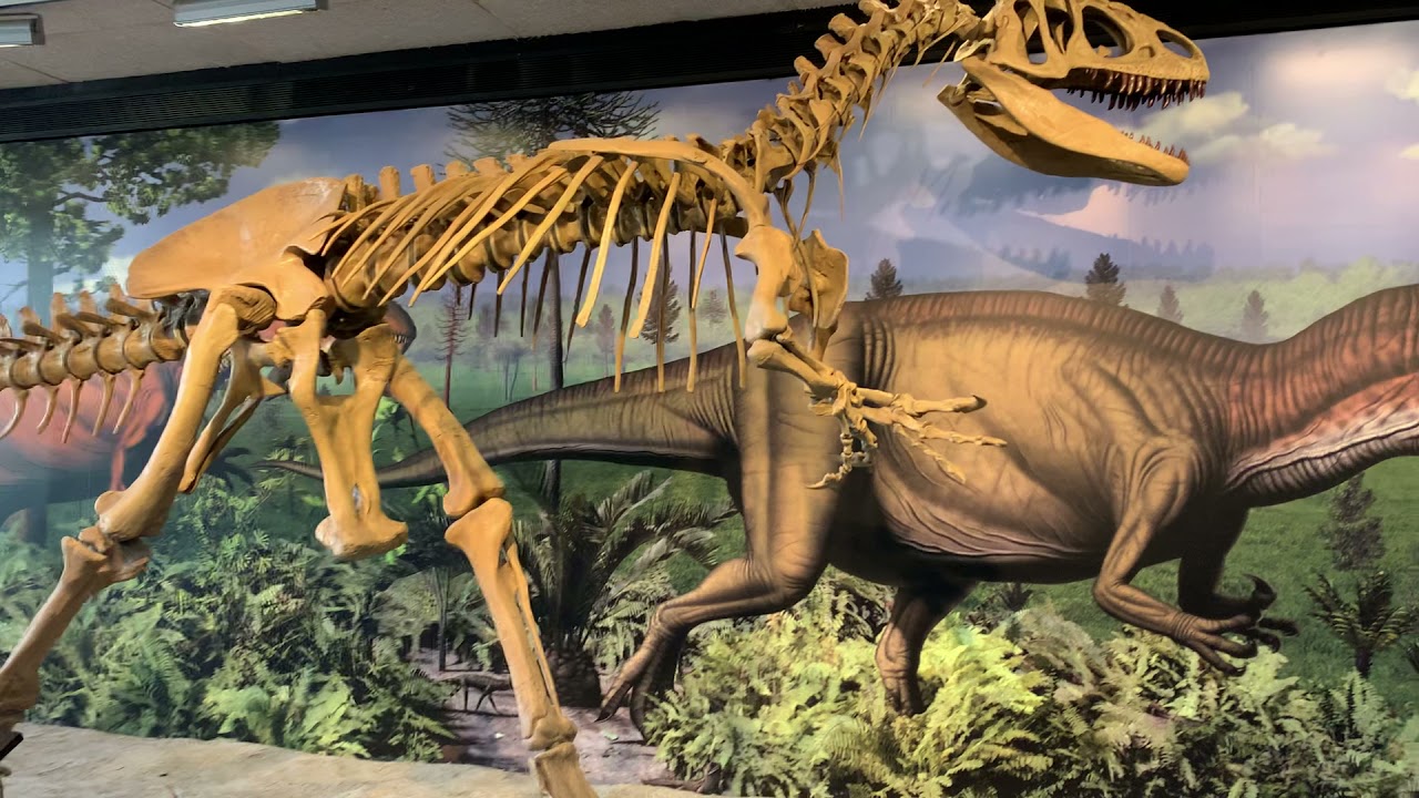 Dinosaur Exhibition in Shopping Centers