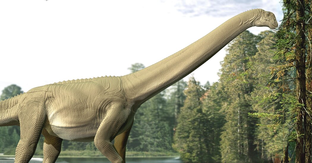 Dinosaur Exhibition in Shopping Centers