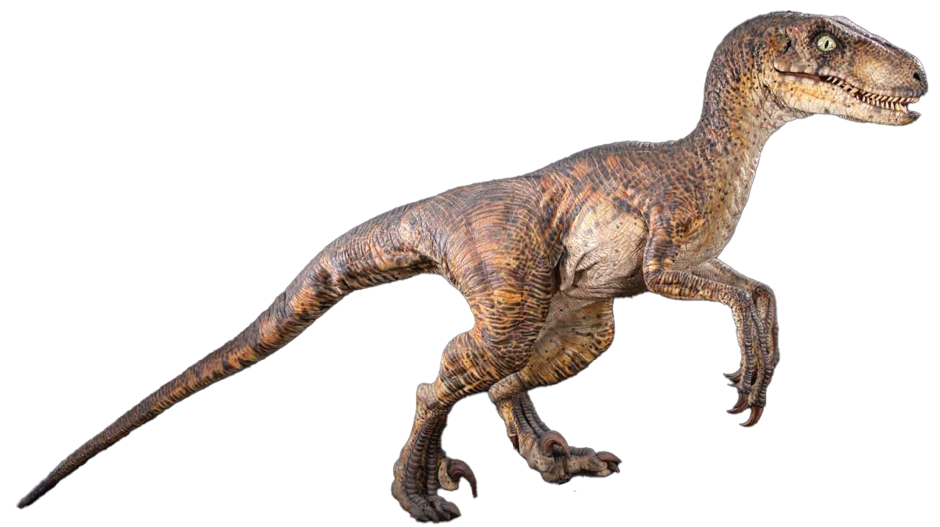 VelociRaptor_pose.jpg