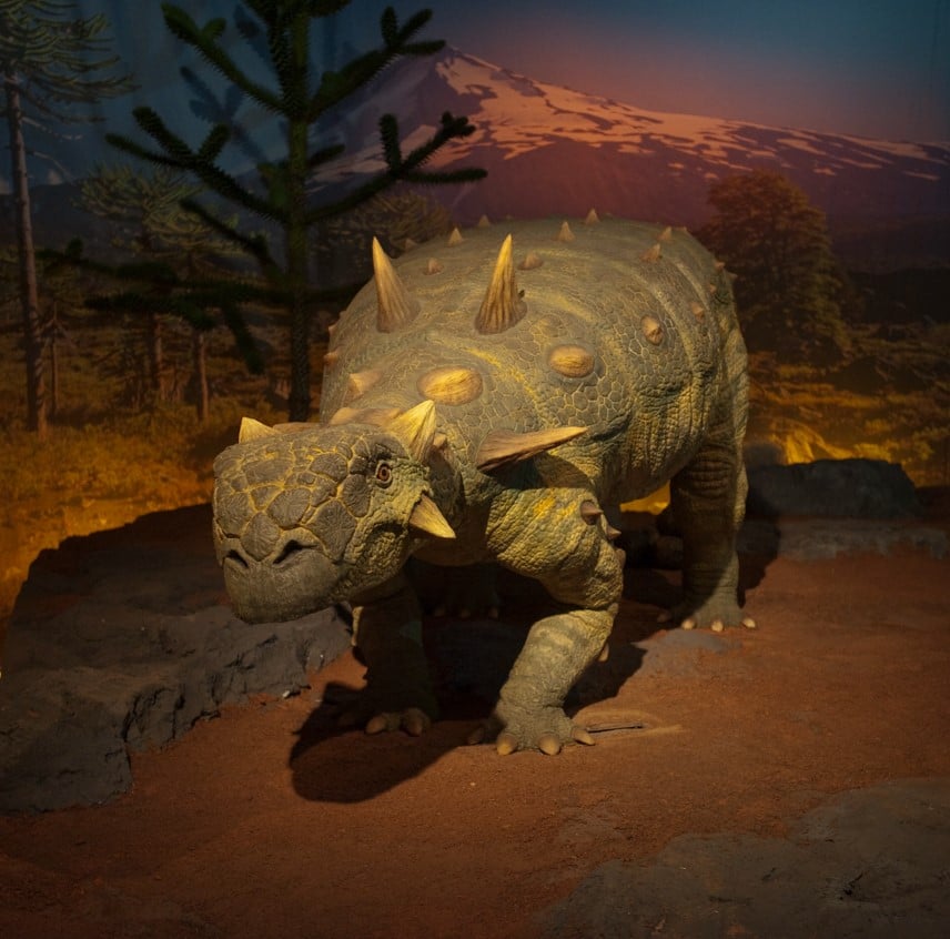 Dinosaur Exhibition in Shopping Centers