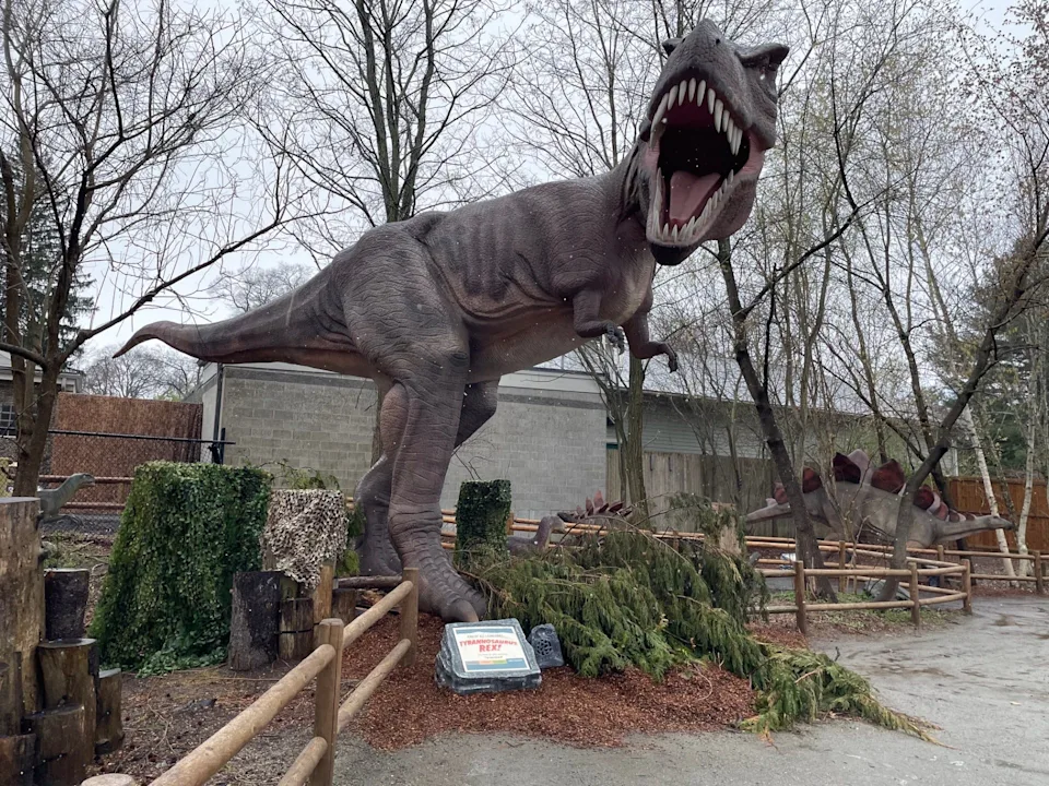 Dinosaur Exhibition in Shopping Centers