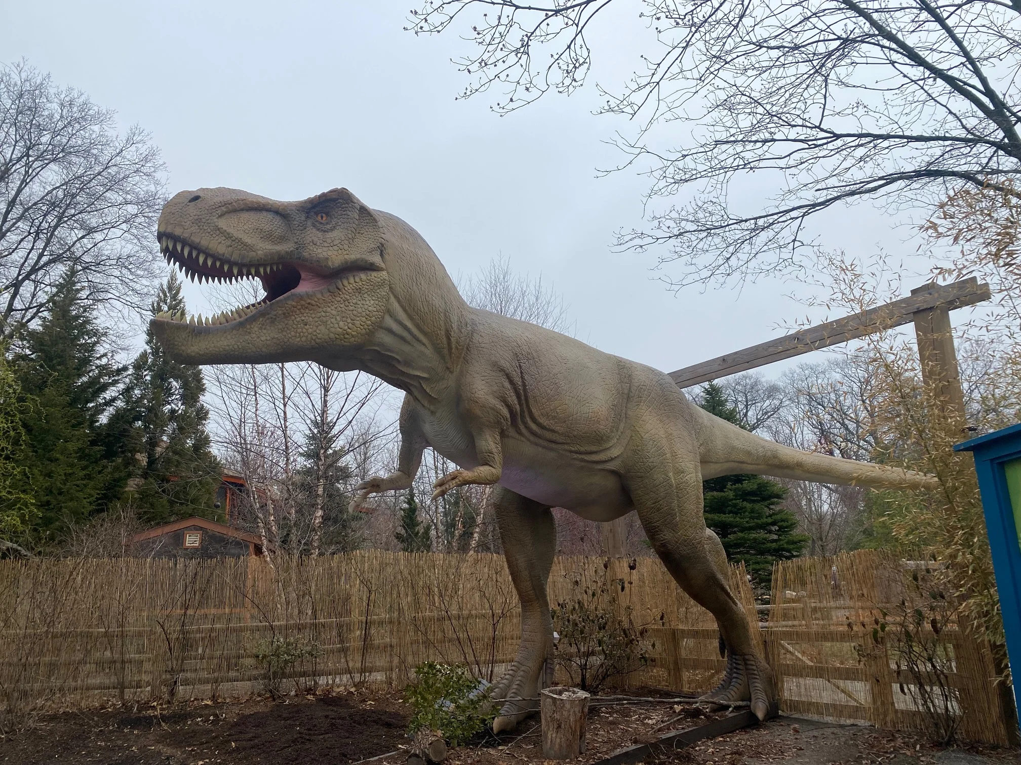 Dinosaur Exhibition in Shopping Centers