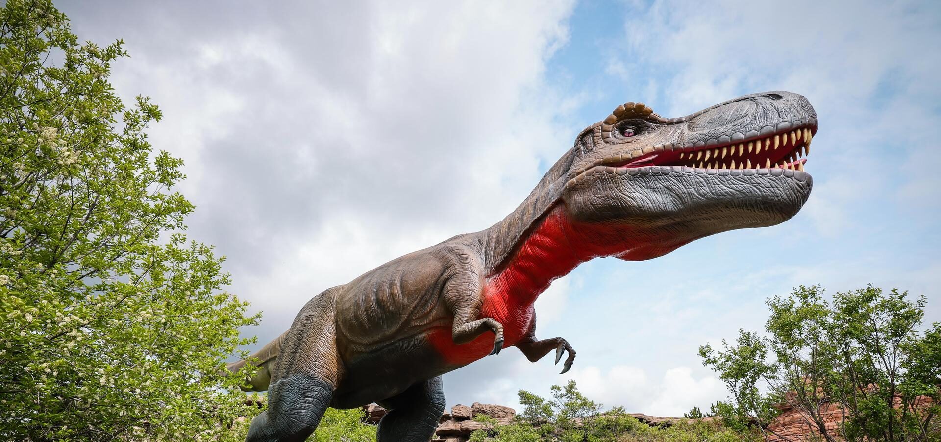 Dinosaur Exhibition in Shopping Centers