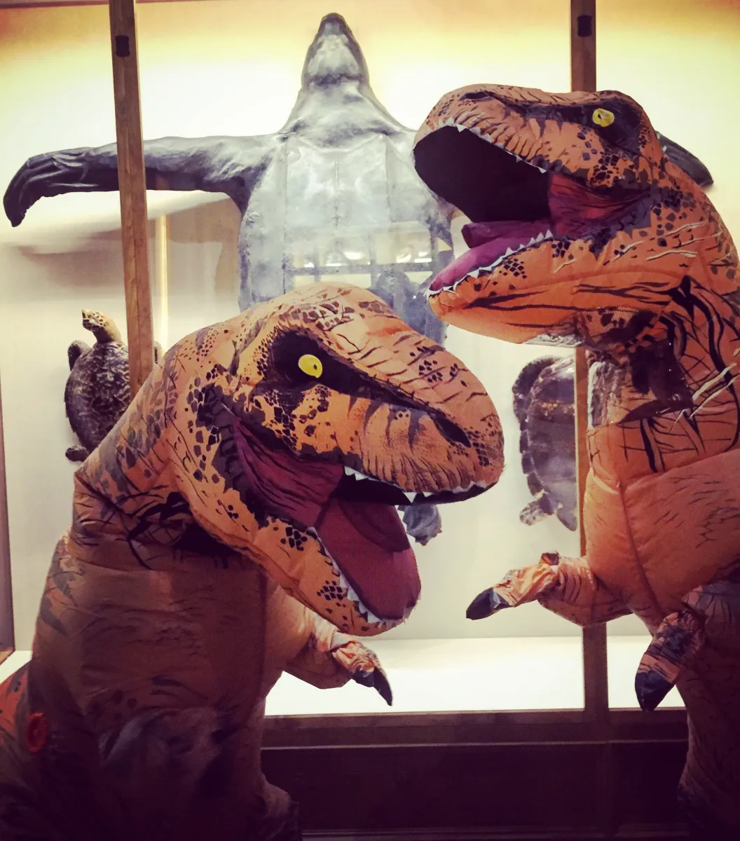 Dinosaur Exhibition in Shopping Centers