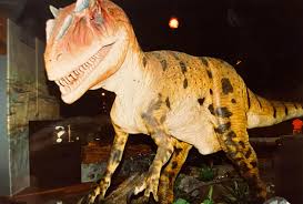 Dinosaur Exhibition in Shopping Centers