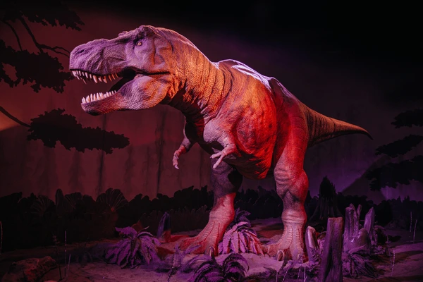 Dinosaur Exhibition in Shopping Centers