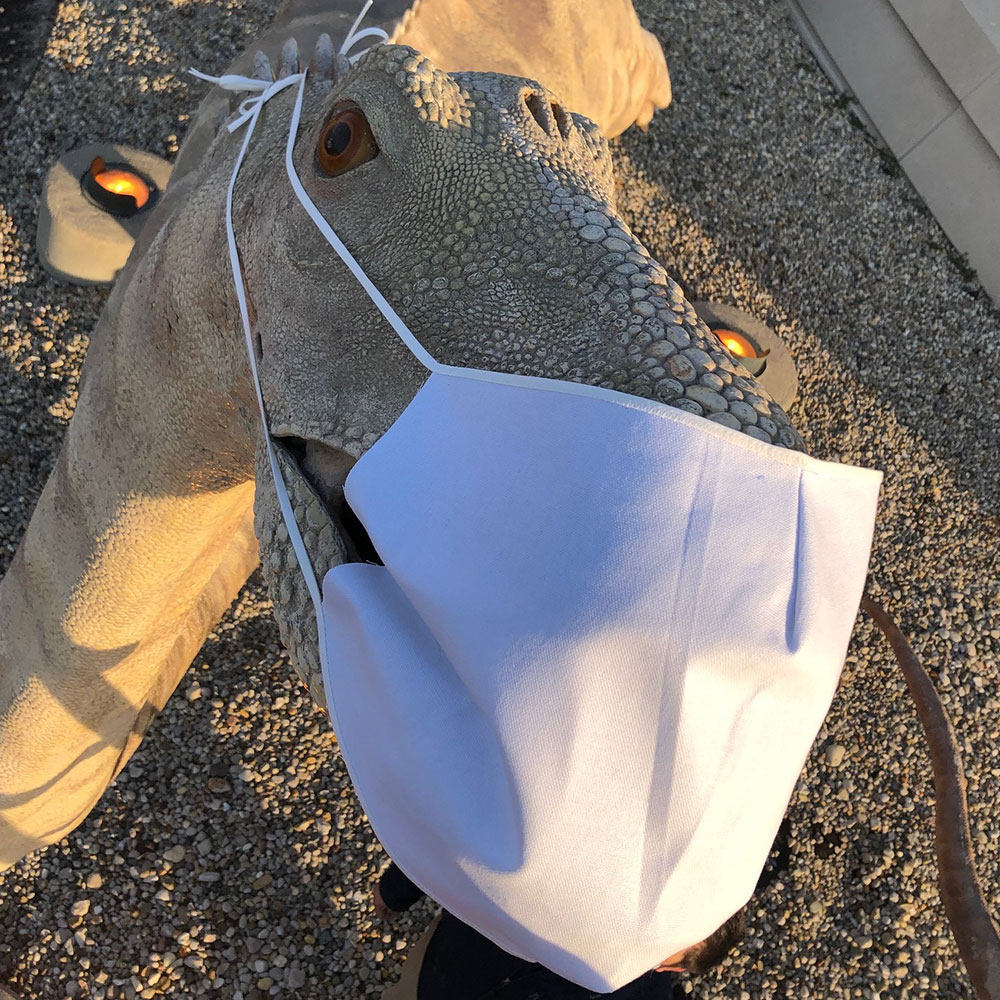 Dinosaur Exhibition in Shopping Centers