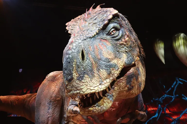 Dinosaur Exhibition in Shopping Centers