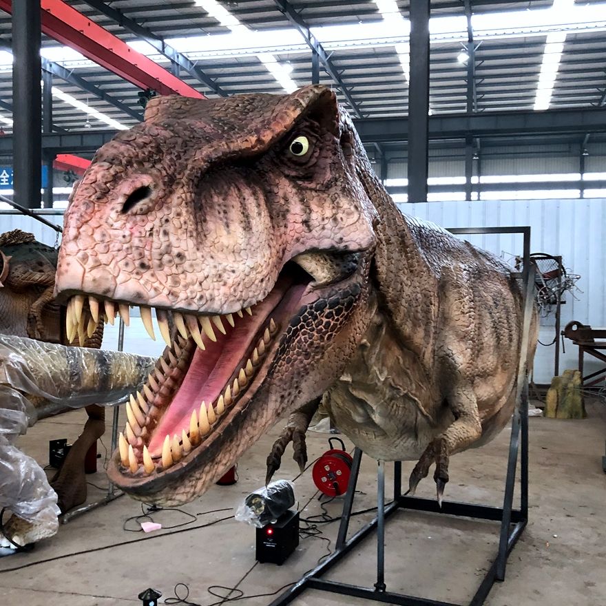 Dinosaur Exhibition in Shopping Centers