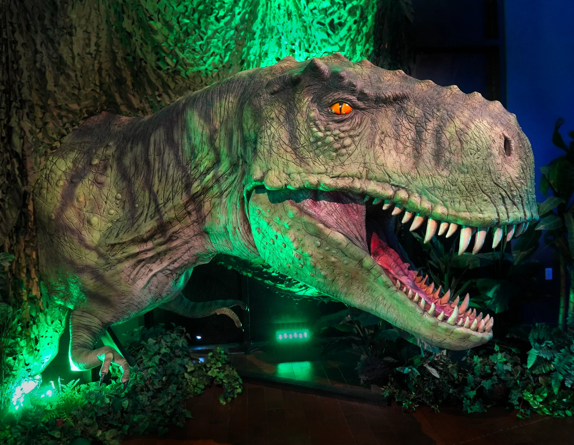 Dinosaur Exhibition in Shopping Centers