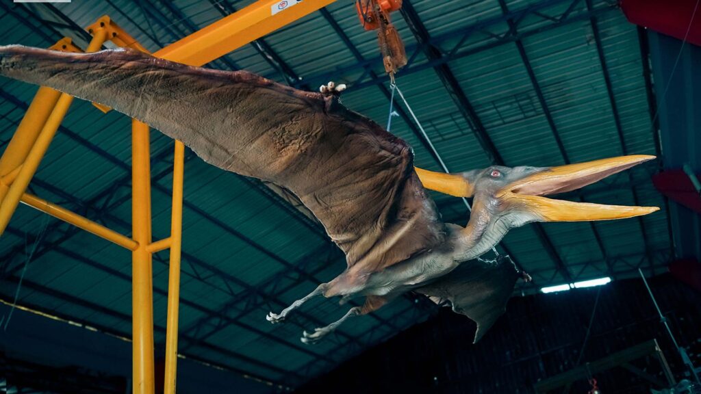 Dinosaur Exhibition in Shopping Centers