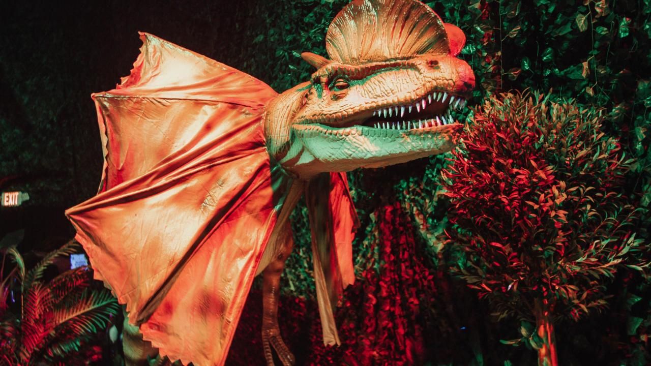 Dinosaur Exhibition in Shopping Centers